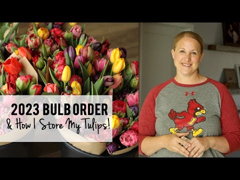 , title : 'Tulip Storage & My 2023 Bulb Order!!!!!  Growing Cut Flowers - Sunshine and Flora'