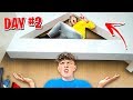 EXTREME Hide And Seek Challenge Win 10 000