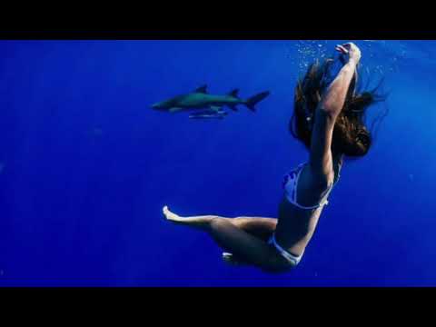 FIREBOY - YOU (COLINZ)