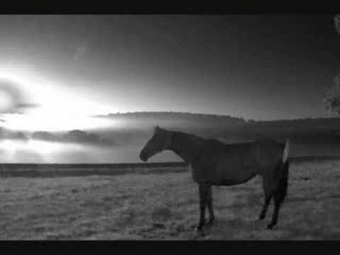 j-laze - naomiz tune