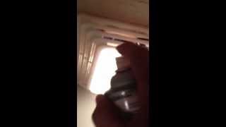 Roaches in bathroom vent