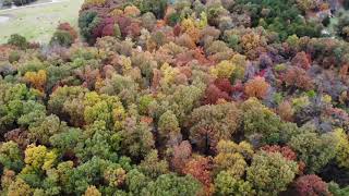 Shady Oaks Campground & RV Park Video