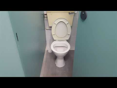 2 1990s LL DM Elan Cisterns & 1980s Royal Doulton Ashdown pans