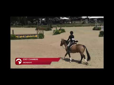Highlight video 2