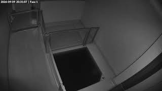 Seals live | Phase 1 @ WEC Lauwersoog, Netherlands live webcam