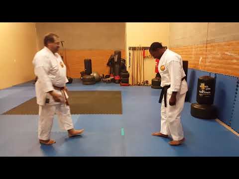 Difference in Back Stance, Okinawan karate vs Japanese styles