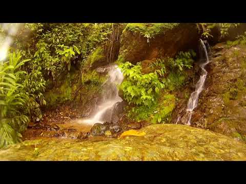 QUANTA PACE - David Ciano (Official Video)