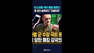 이스라엘 극비 탈탈 털렸다..몇 년간 숨죽이다 지금이야 #shorts
