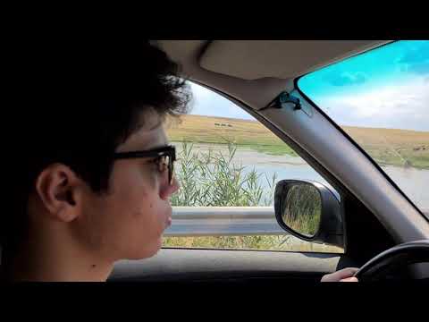 Către/prin Gogoșari de Giurgiu lac baltă cu pești zona plăcută de relaxare