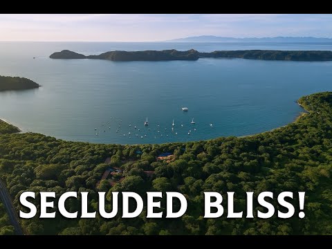 El Mangroove Costa Rica – The Luxury Beach Resort You Need to See 🌴