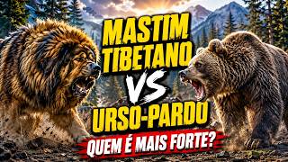 Mastim Tibetano vs Jovem Urso-Pardo 🐕🐻 | Quem Levaria a Melhor Nesse Confronto?