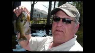 preview picture of video 'Reelfoot Lake Bream Fishing with Al Hamilton   Pro Guide'