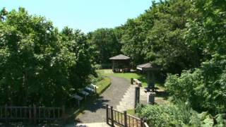 Hokkaido Tourism Video (Kushiro Wetland)