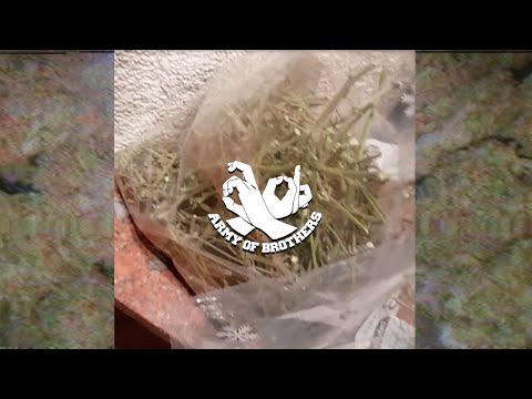 CHAPO feat. HAKI & BANGS (AOB) -  100% echt (prod. CONTRABEATZ)