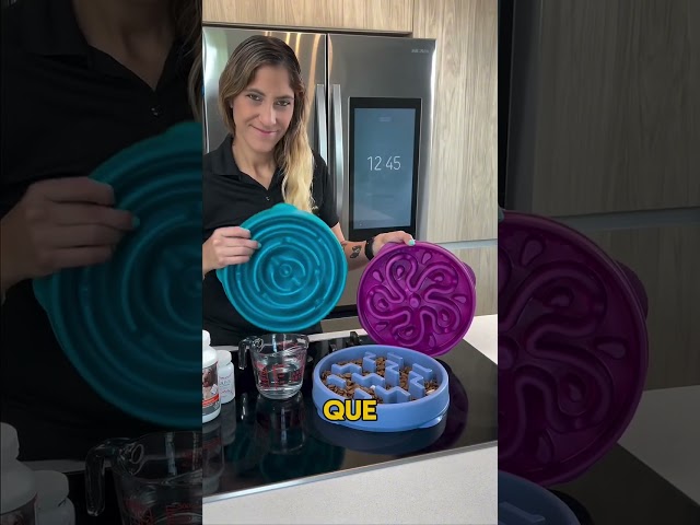 Vídeo relacionado con Outward Hound Fun Feeder Slo-Bowl - Comedero con obstáculos para perros - Turquesa - Mediano/mini