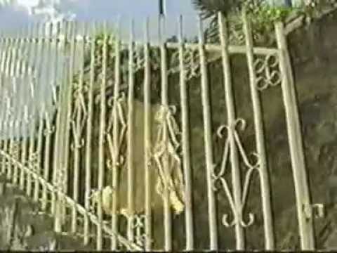 Jenny Rosero  Porque voy a llorar