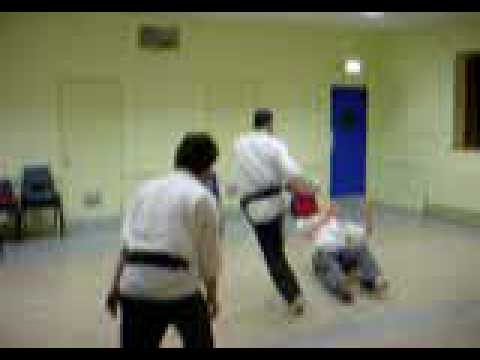 The Bear and the Ram