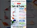 Types Of Angles Project Mathematics Project Idea Shorts Mathematics Project Viral