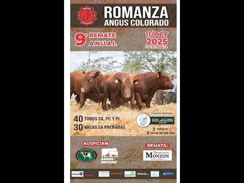 11/10/2025   9º Remate Anual - Estancia Romanza /  Agropecuaria Monzon - Local Peralta - Tacuarembó