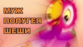 RYTP ~ Муж попугея Шеши