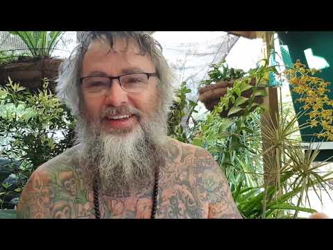 ACIM WB Lesson 41 ~ A COURSE IN MIRACLES WORKBOOK LESSONS ~ 365 DAYS W/ DAVE PHARE