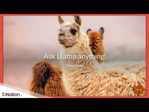 JNation Talk: Presented by Lutske de Leeuw