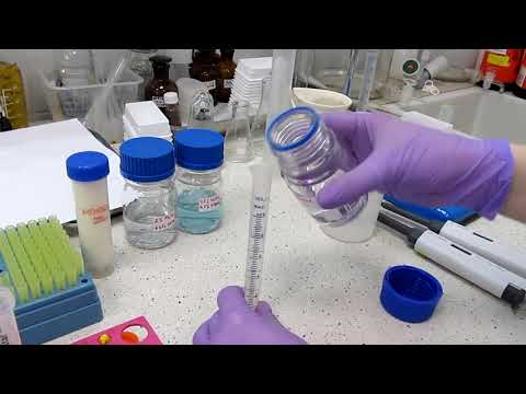 Количественное определение содержания белка методом Лоури в сыворотке молока