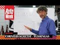 Tussengas - Cornelis Schetst