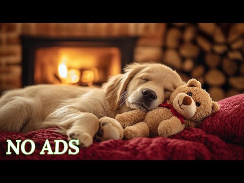 10 Hours of Dog Calming Music 🐶 Anti-Separation Anxiety Relief Music | Deep Sleep & Calm 💖 No Ads