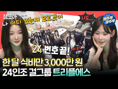 아이콘