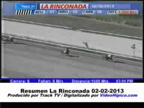 Resumen La Rinconada 02-02-2013