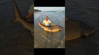 Hôtel Kasa Afrikana