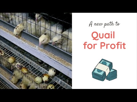 , title : 'A NEW FUN AND PROFITABLE WAY TO RAISE QUAIL!!!!!!!! LINK IN DESCRIPTION'