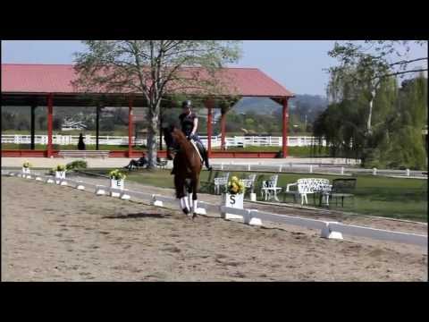 Dressage Training & Clinics with Ralf Isselhorst