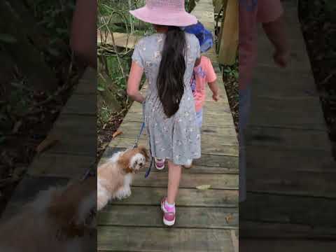 Hacienda Tijax Río Dulce Livingston, departamento de Izabal