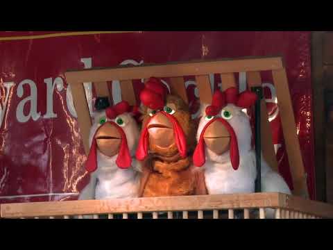 NJ State Fair 2019 Preps