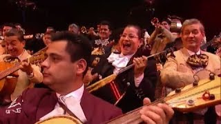 El Son de la Negra - Mariachi Vargas, Mariachi de América & Mariachi Los Camperos