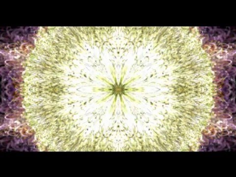 2 Sabbasava Sutta, All the Fermentations, 3 Bhaya-bherava Sutta Fear & Terror