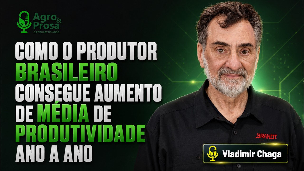 Como o produtor brasileiro consegue aumento de produtividade ano a ano