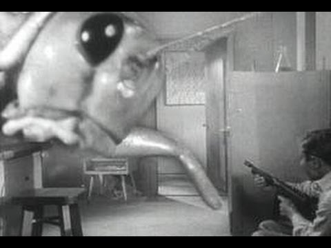 John Sayles on BEGINNING OF THE END