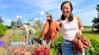 Growing a TON of FOOD in a Small Amount of Space