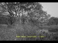 Ralph Towner : Travel Guide - 9. Tarry
