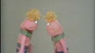 Classic Sesame Street - twin Anything Muppets