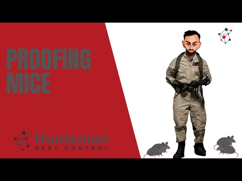 Huntsman Pest Control video.