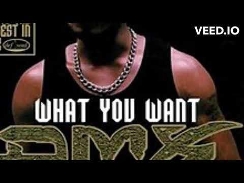 DMX Feat. Sisqo  - What You Want