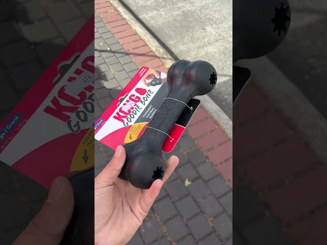 Vídeo relacionado con Kong Goodie Bone - Hueso para Perros clásico de Caucho Natural Duradero, apoya el Compromiso Mental - Distribución de golosinas - Rojo - para Perros de tamaño Extra Grande