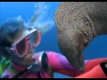 The Underwater Story Of A Girl