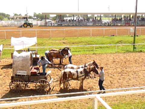 Wagon race