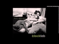 Black Lab - Close to You 
