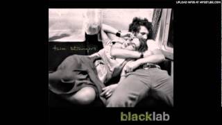 Black Lab - Close to You